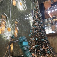 ティファニー銀座本店のエントランスに高さ約6mものクリスマスツリーが登場。