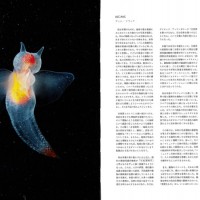 『ENDANGERED 絶滅の危機にさらされた生き物たち』ティム・フラック