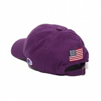 「CHAMPION 6 PANEL CAP」（4,500円）