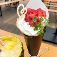 横浜赤レンガ倉庫で「ヨコハマ フリューリングス フェスト（Yokohama Frühlings Fest）2019」開催