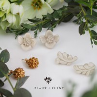 「プラントプラント（PLANT / PLANT）」