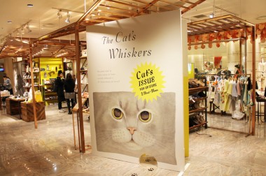 新宿伊勢丹は猫づくし！サンデーイシューが猫ショップ限定オープン