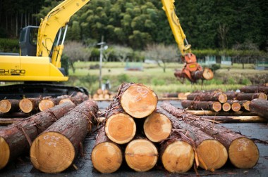 【サスティナブルな社会科見学】 江戸時代から愛される吉野杉のふるさとで原木市と製材所を訪ねる。循環する木の物語--vol.2