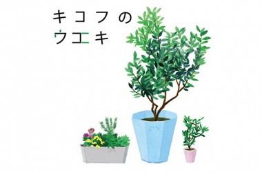 KIKOFから新作“植木鉢”が登場、白金で「キコフのウエキ」展も開催中