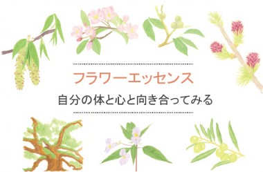 1年のはじまりに、フラワーエッセンスで自分の体と心と向き合ってみる。--vol.1【フラワーエッセンス】