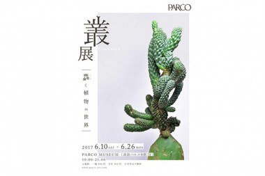 広島の植物屋・叢の展覧会が池袋パルコでスタート。多肉植物、サボテンなど約100点販売