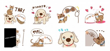 ドルチェ＆ガッバーナがLINEスタンプ「毒舌あざらし」とコラボ!