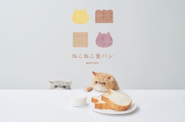 ねこの形の高級食パン専門店「ねこねこ食パン」が神奈川・伊勢原に登場!