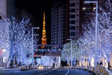 約70万灯のLEDが煌めく400mのけやき並木が今年も登場! 六本木ヒルズを彩る東京の冬の風物詩「Roppongi Hills Christmas 2020」開催