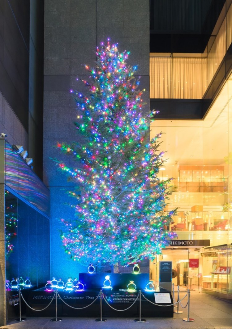 ミキモトのクリスマスツリー 今年が最後 のだめバイオリニストが点灯式 Life Fashion Headline