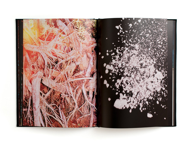 限定300部、絶版した幻のコリー・ブラウンの写真集が復刻【Shelf 