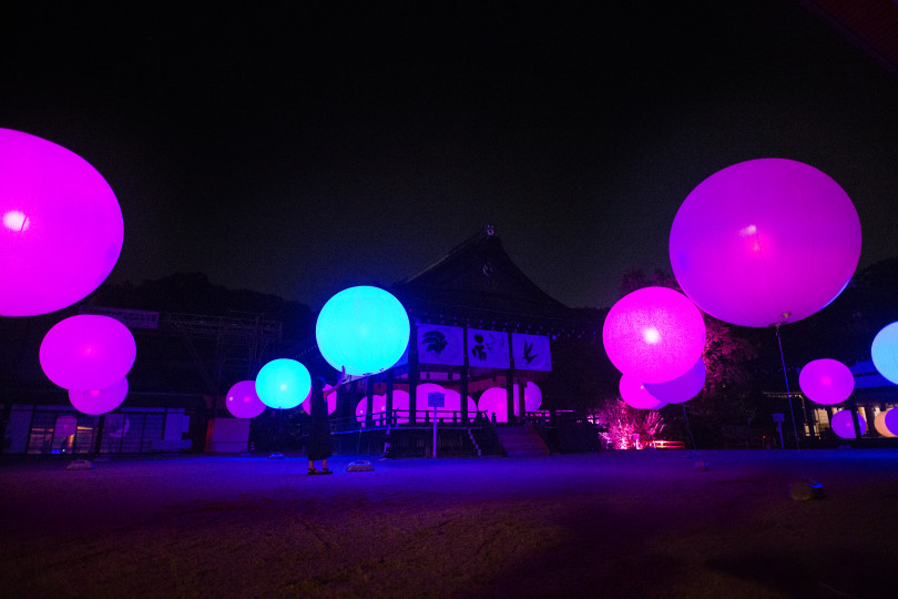 『呼応する球体 – 下鴨神社 糺の森 / Resonating Spheres – Forest of Tadasu at Shimogamo Shrine』